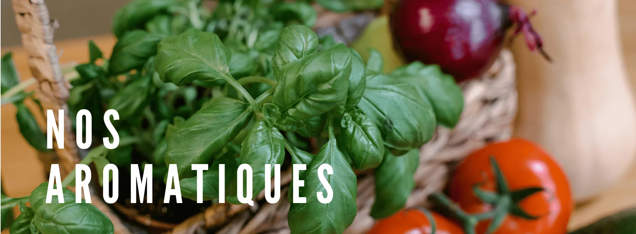 aromatiques