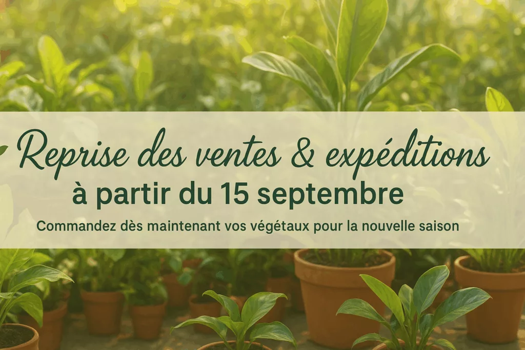 reprise vente