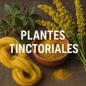 Plantes Tinctoriales